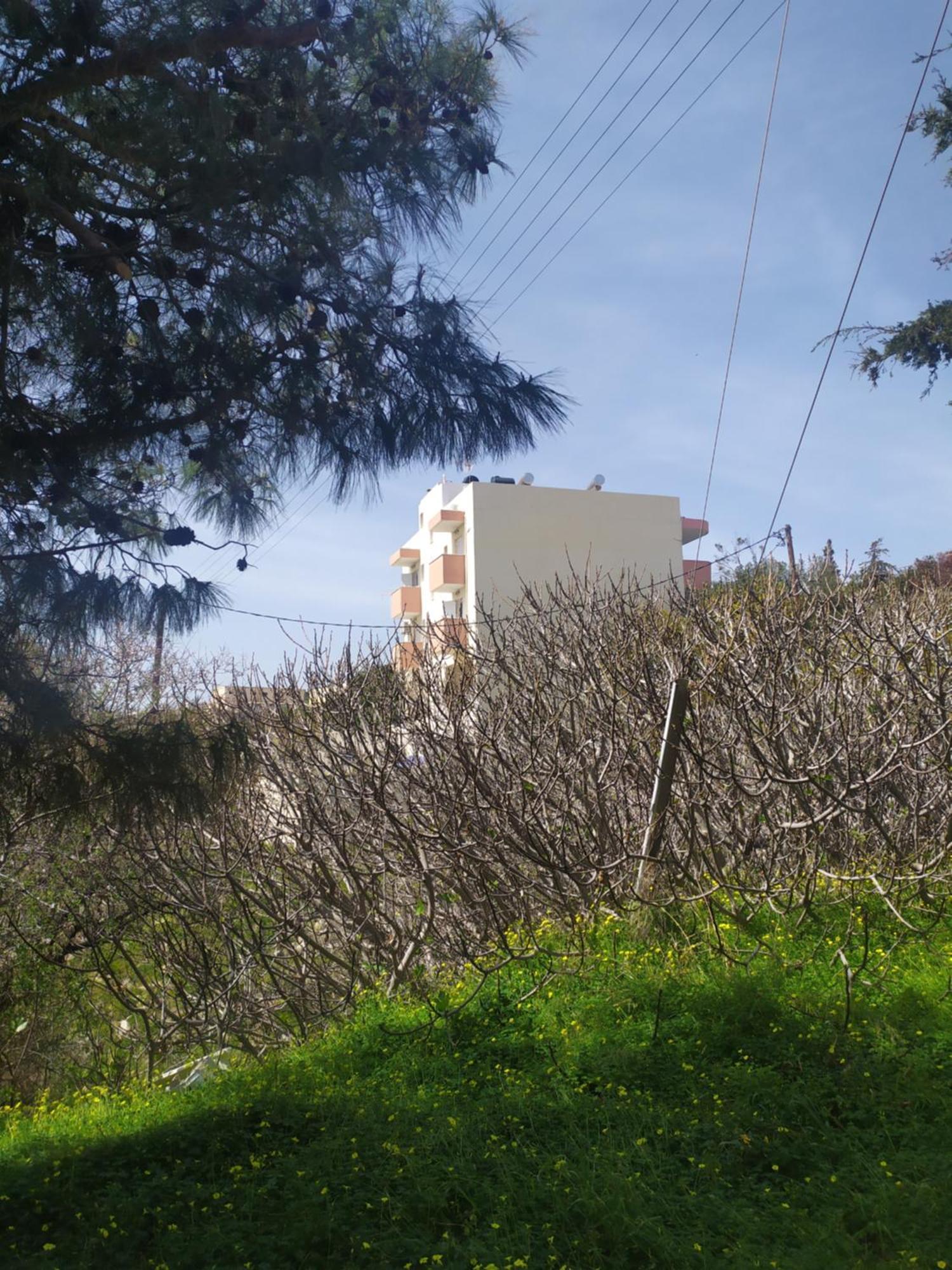 Silkes * Sitia (Crete)